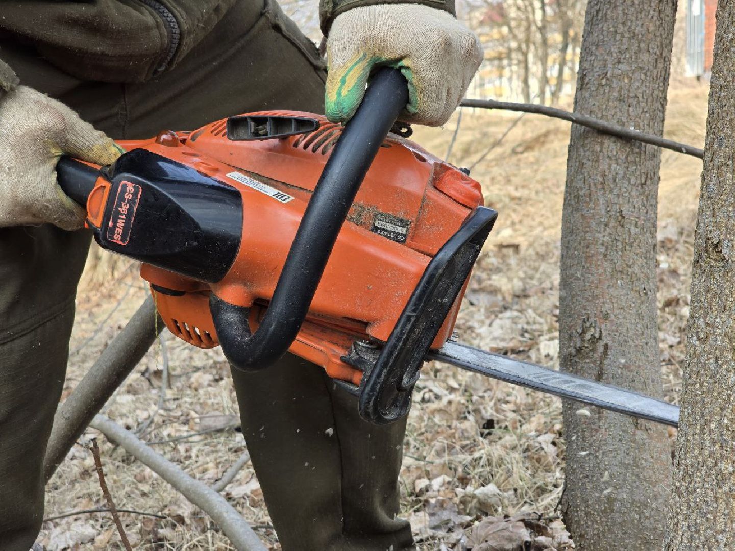 можайск, можайский муниципальный округ, подмосковье, санитарная вырубка, жкх, коммунальщики,