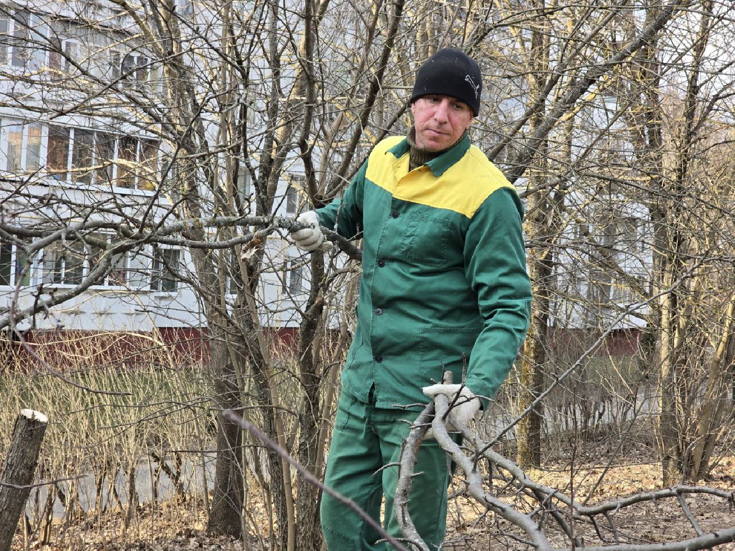 можайск, можайский муниципальный округ, подмосковье, санитарная вырубка, жкх, коммунальщики,