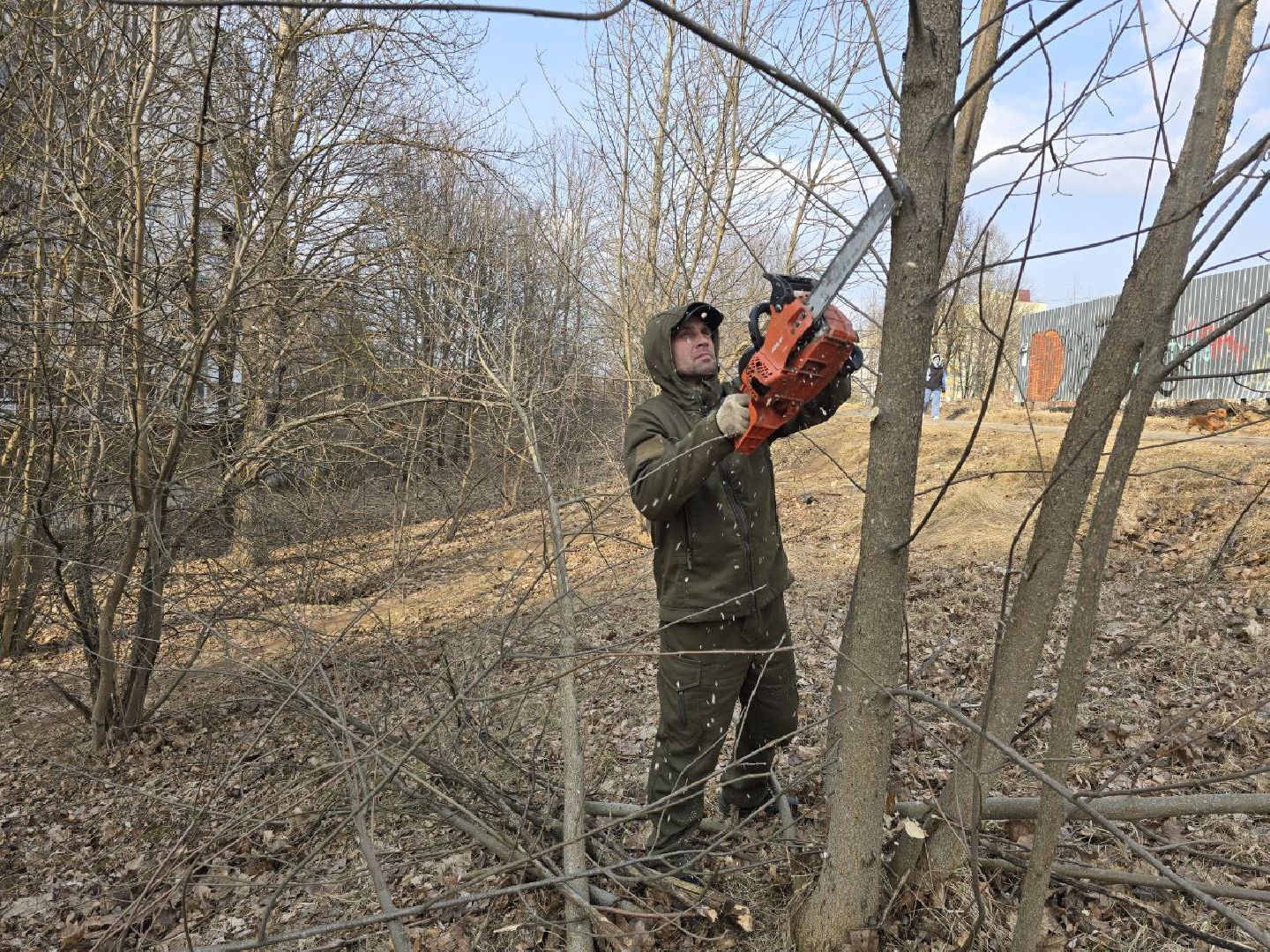 можайск, можайский муниципальный округ, подмосковье, санитарная вырубка, жкх, коммунальщики,