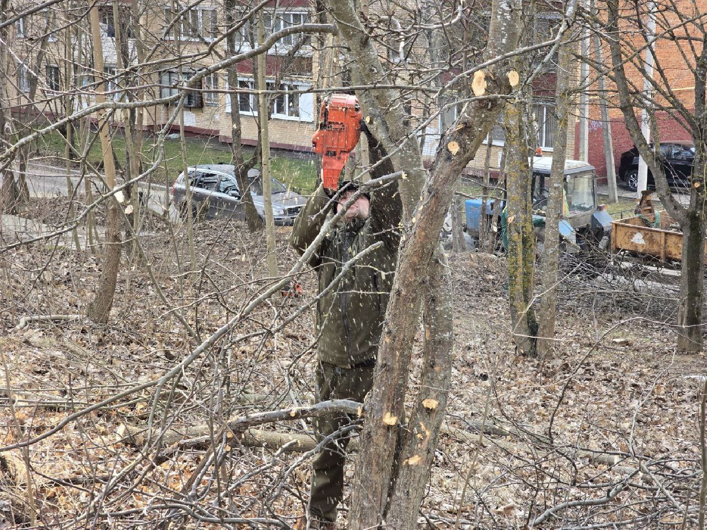 можайск, можайский муниципальный округ, подмосковье, санитарная вырубка, жкх, коммунальщики,