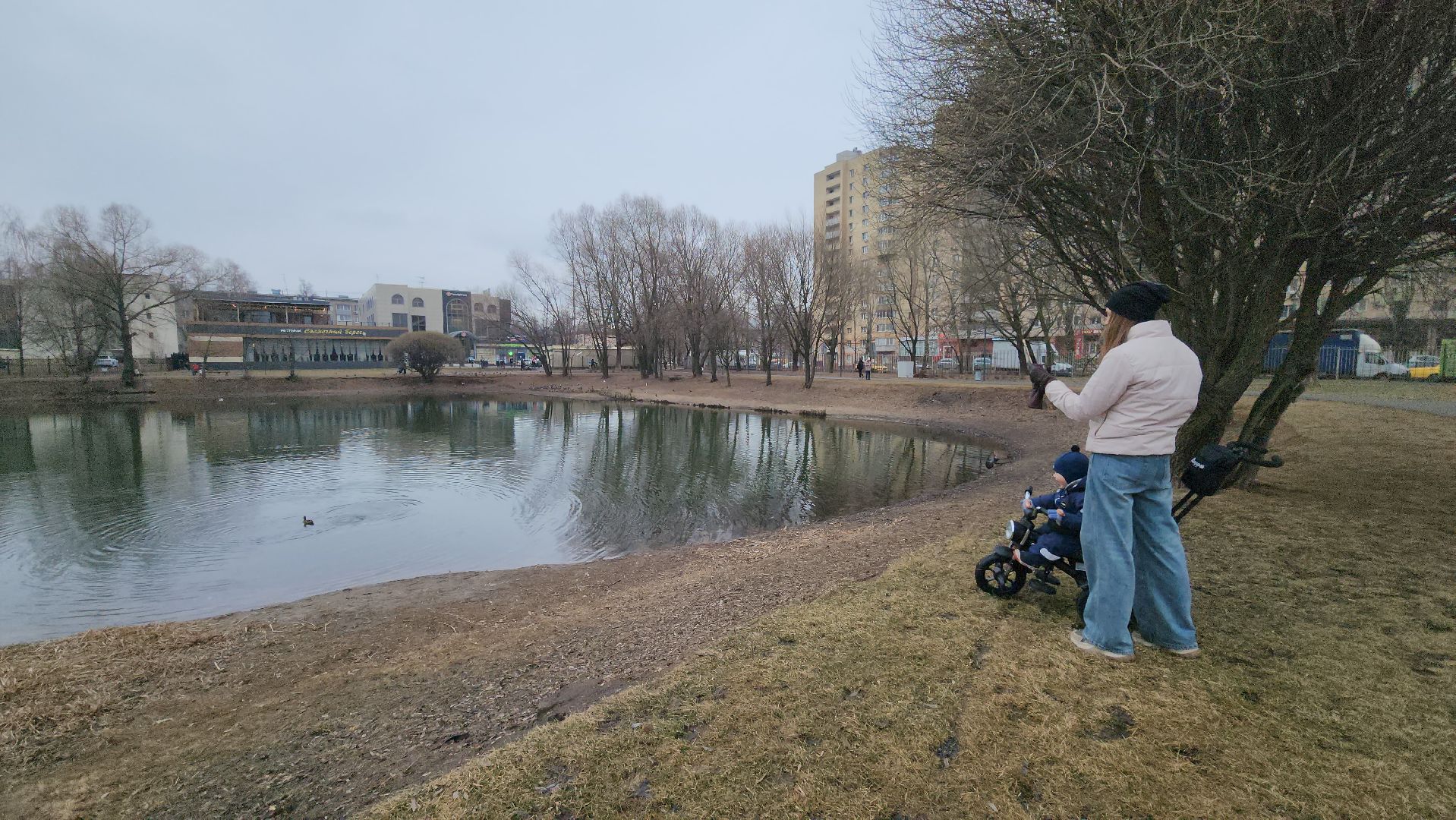 Люберцы, утки, наташинские пруды, наташинский парк, реконструкция,