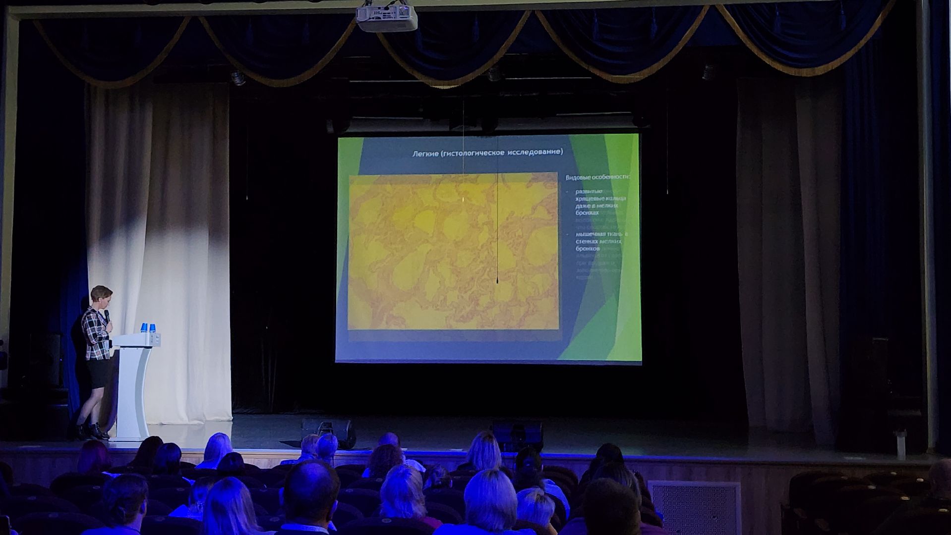 конференция, ветеринария, научная конференция, Ногинск, Богородский городской округ,