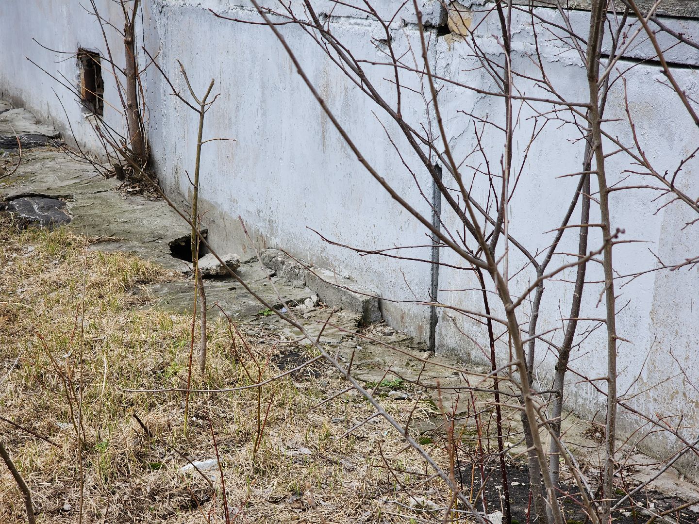 выездная администрация, жкх, орехово зуево,