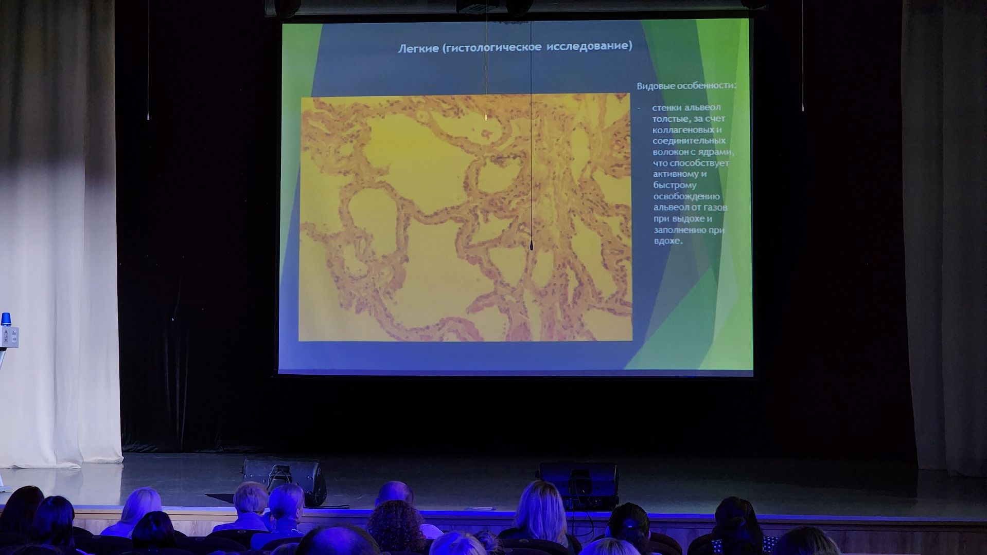 ветеринария, пироплазмоз, клещи, Ногинск, Богородский городской округ,