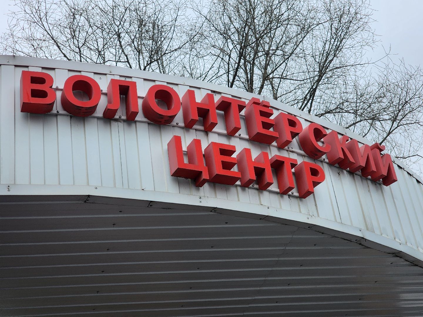 подольск, волонтеры, волонтеры подмосковья,