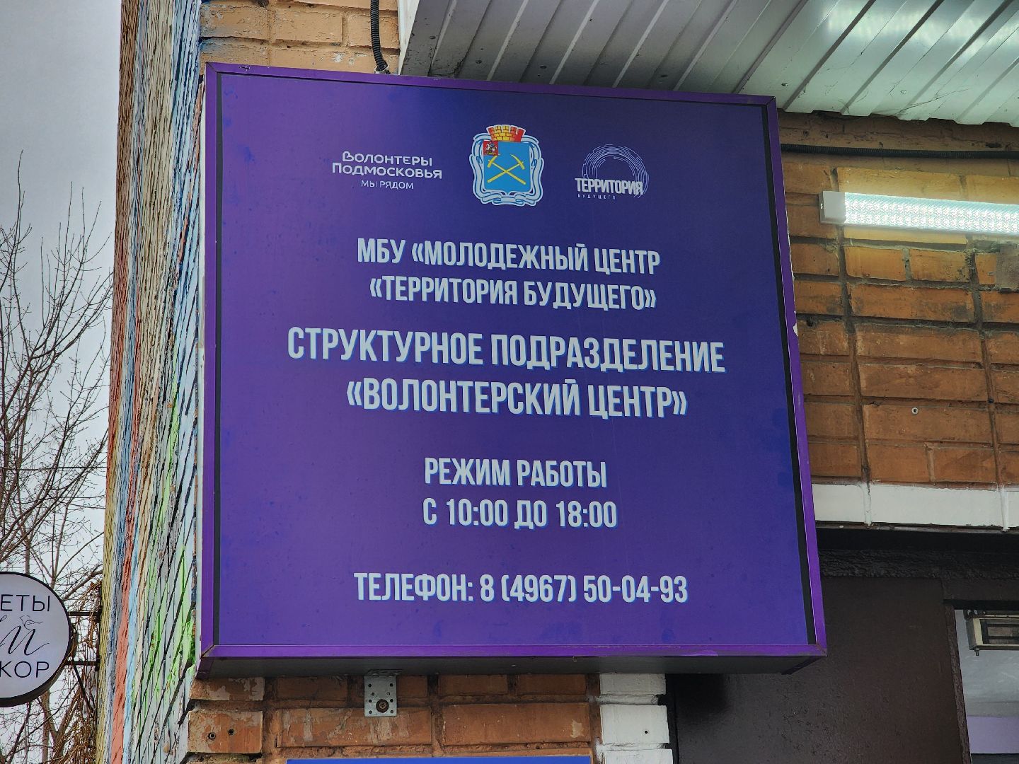 подольск, волонтеры, волонтеры подмосковья,