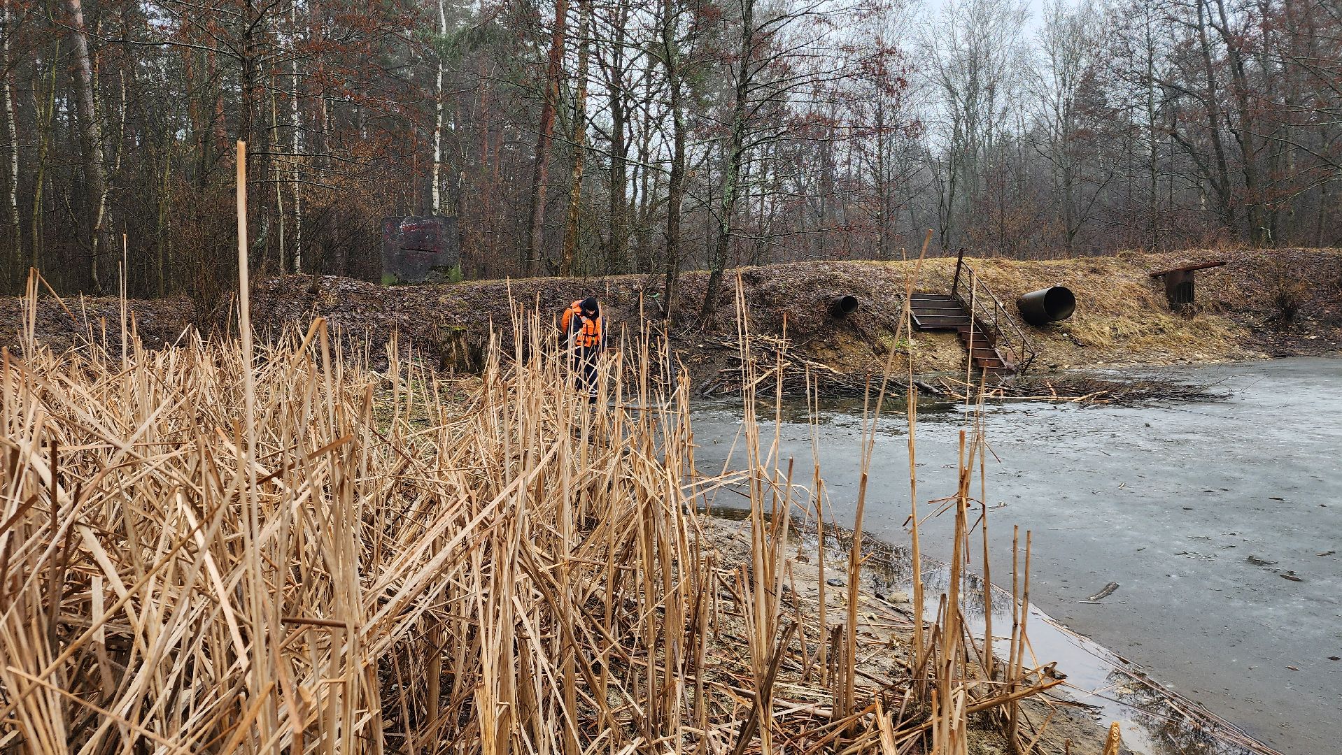 ступино, паводок, мониторинг уровня воды,
