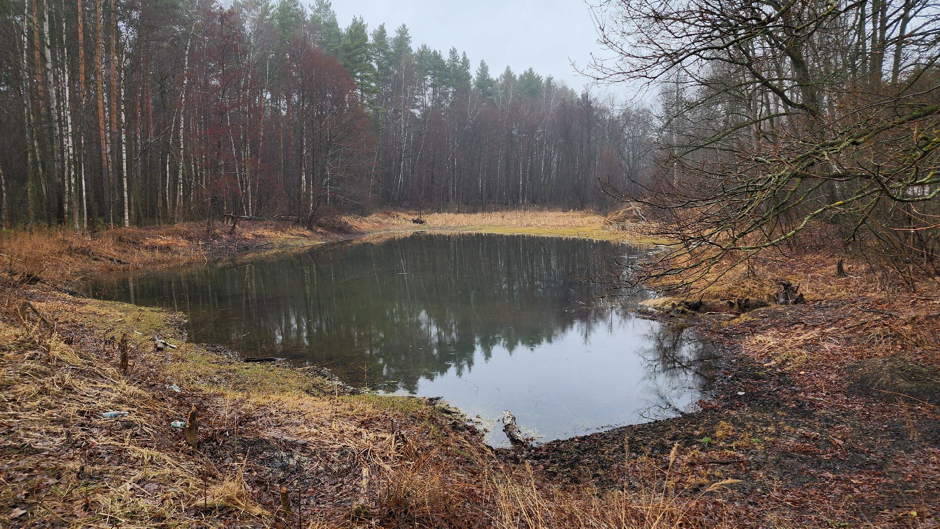 ступино, паводок, мониторинг уровня воды,