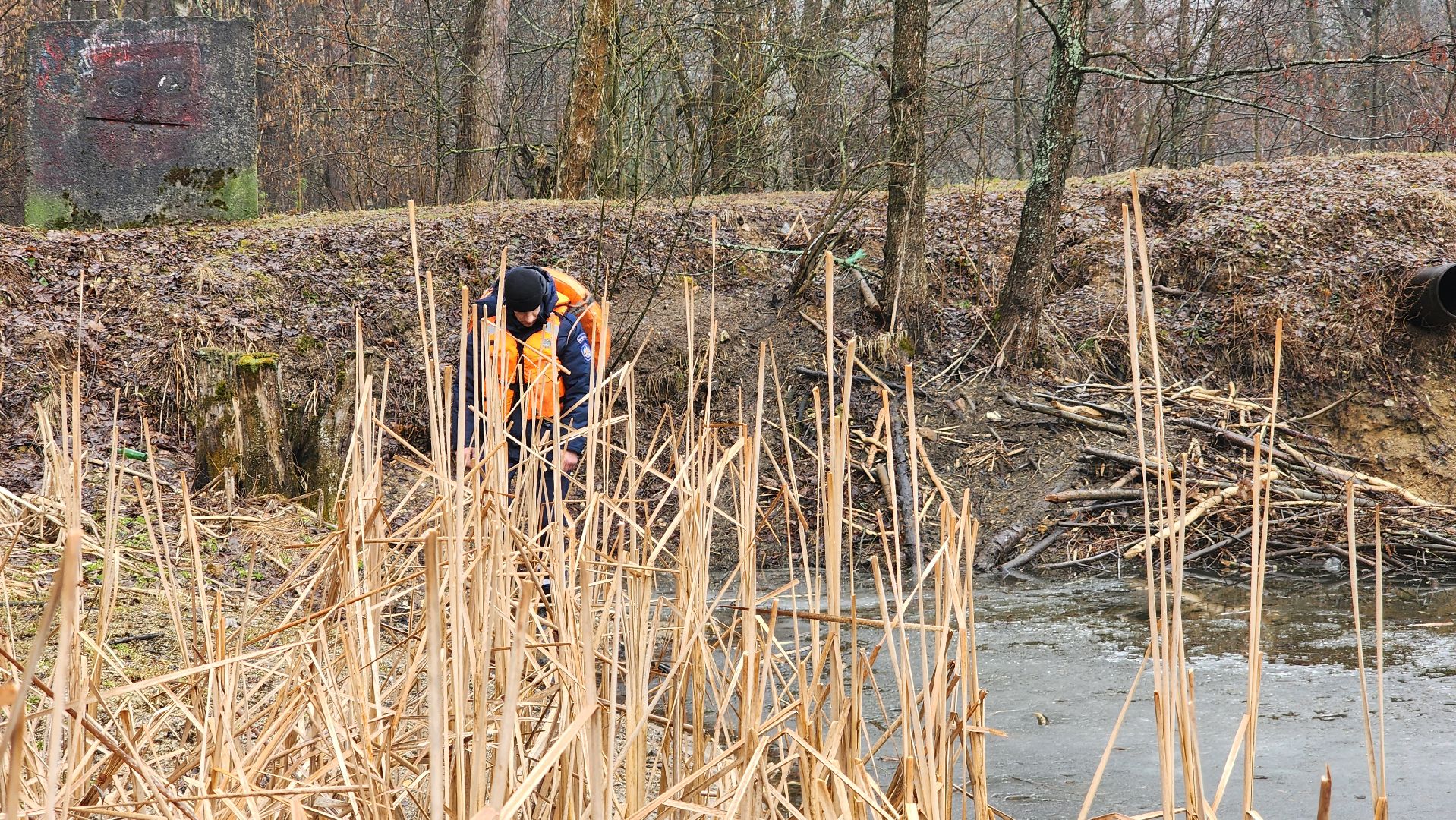 ступино, паводок, мониторинг уровня воды,