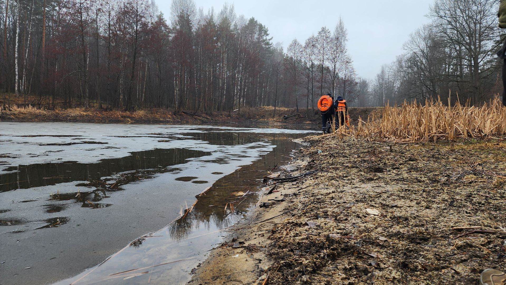 ступино, паводок, мониторинг уровня воды,