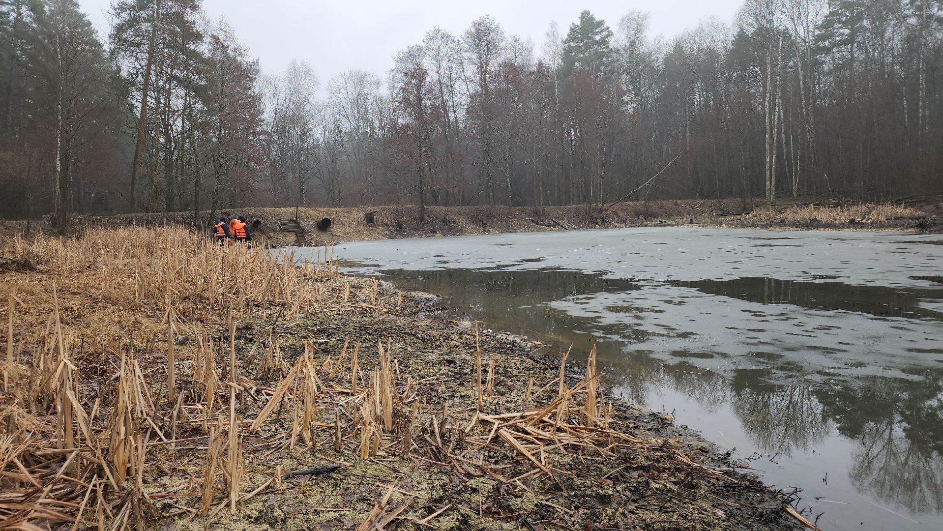 ступино, паводок, мониторинг уровня воды,
