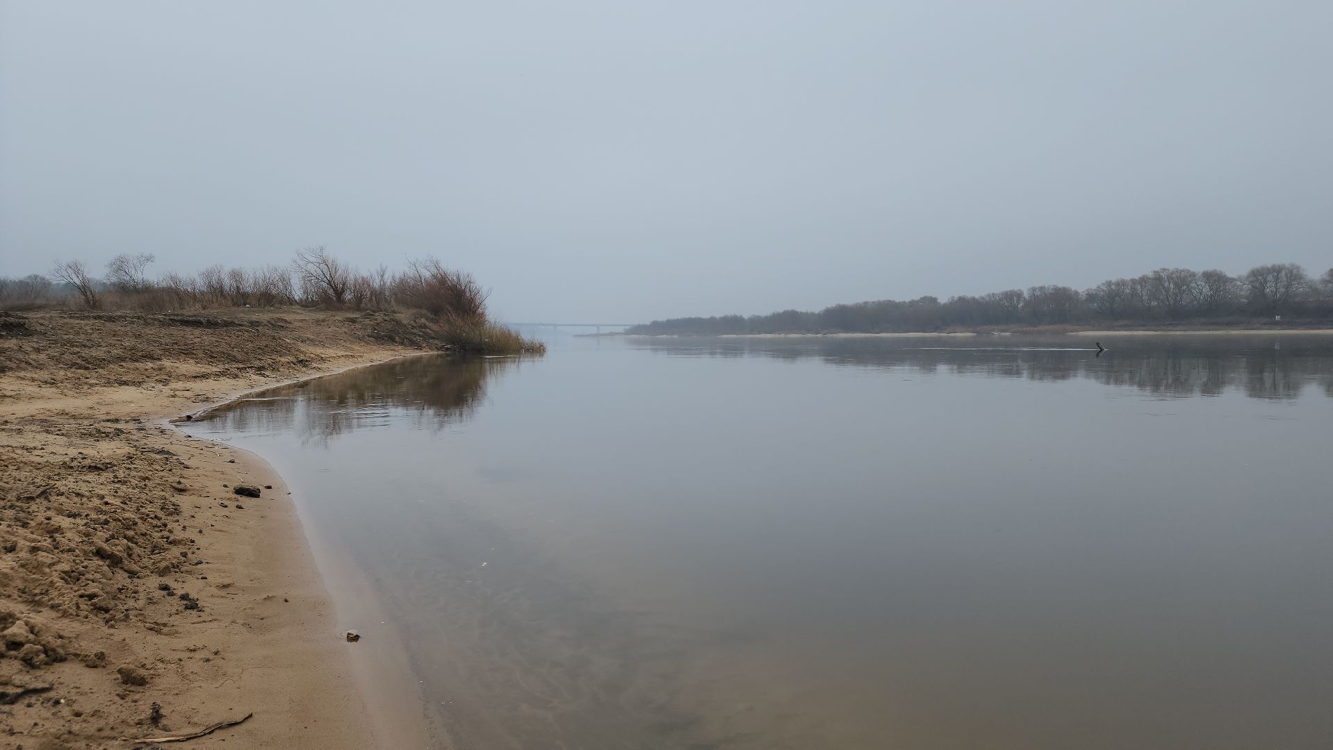 ступино, паводок, мониторинг уровня воды,