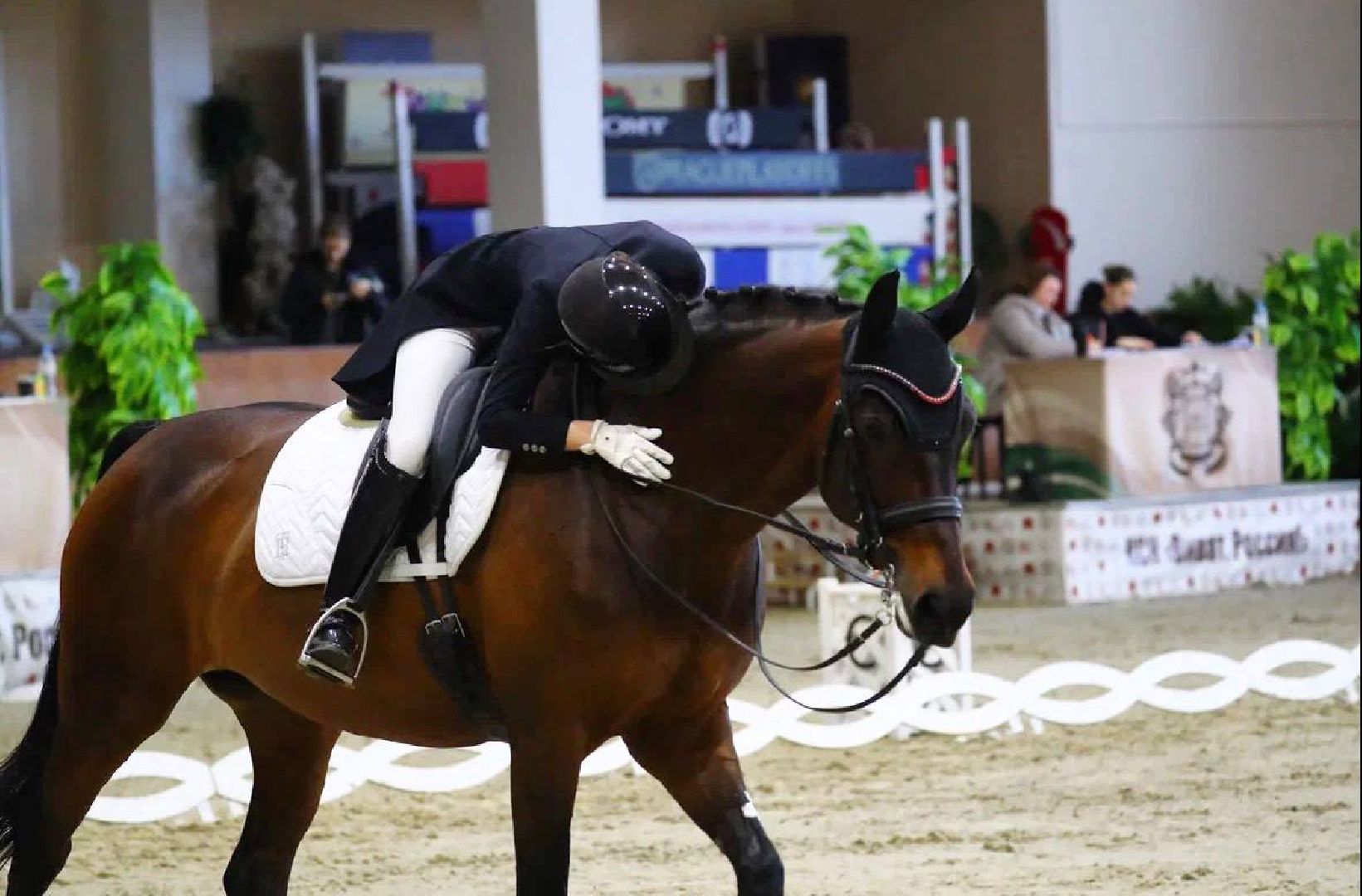 раменское, спорт, лошади,