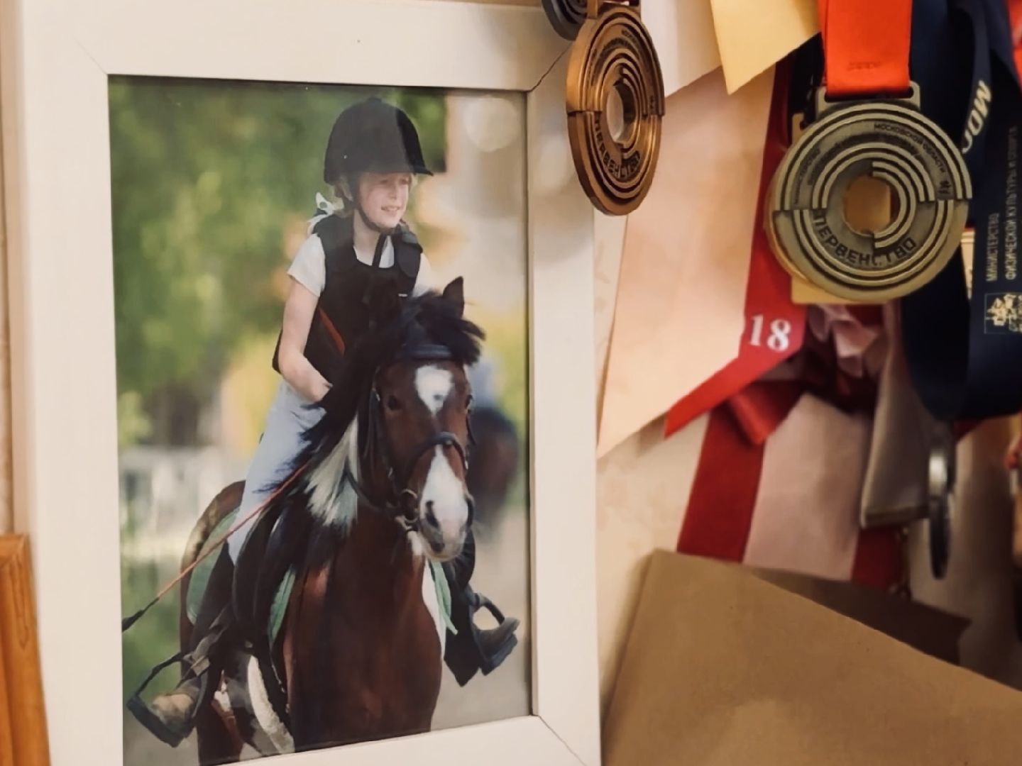 раменское, спорт, лошади,