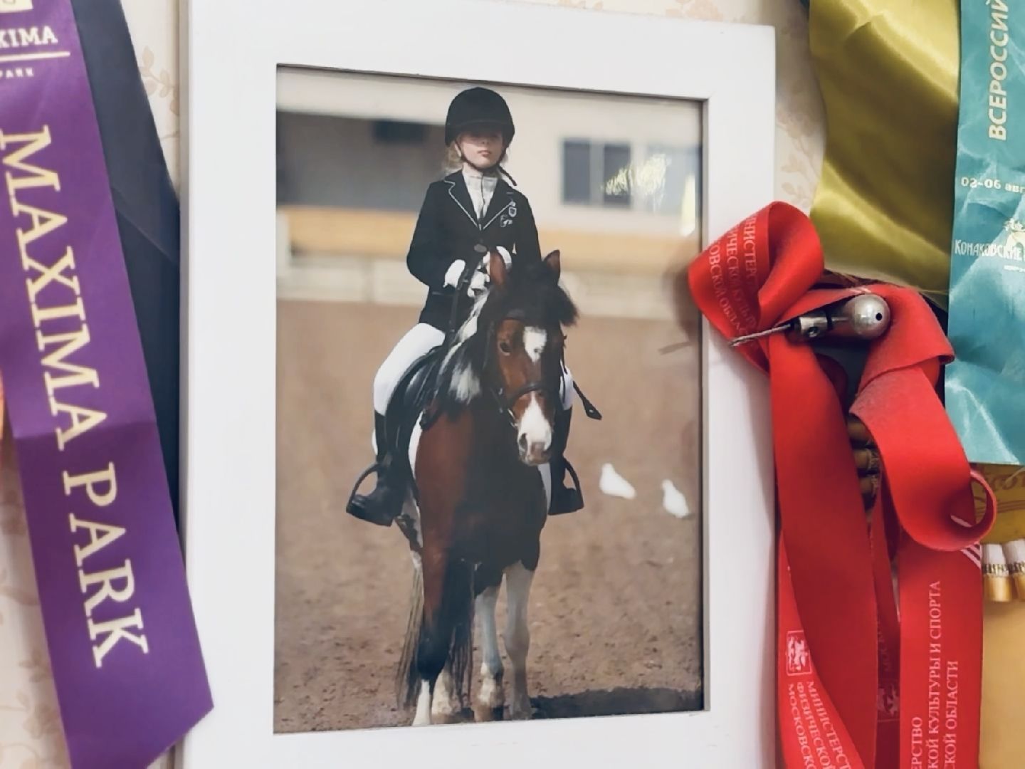 раменское, спорт, лошади,