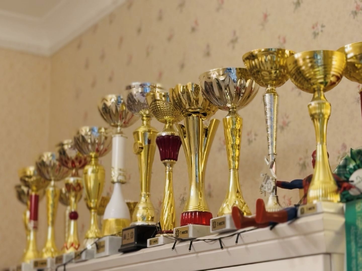 раменское, спорт, лошади,