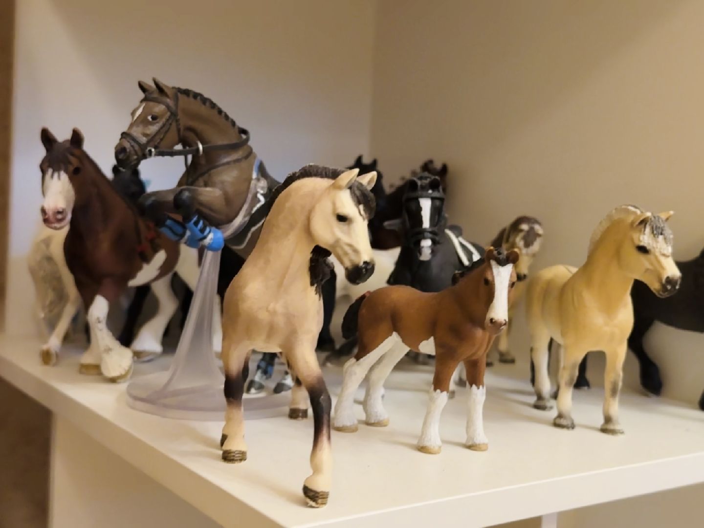 раменское, спорт, лошади,