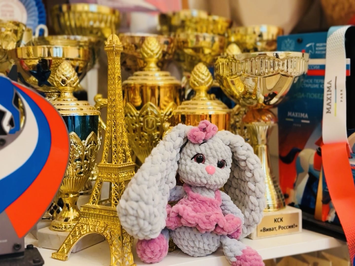 раменское, спорт, лошади,