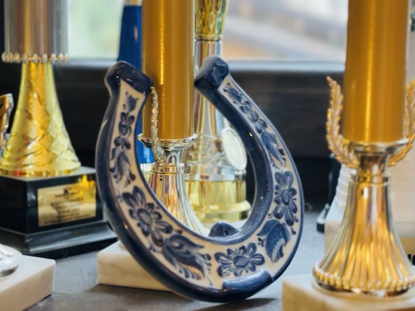 раменское, спорт, лошади,