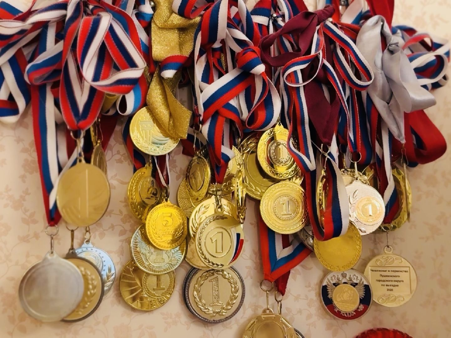 раменское, спорт, лошади,