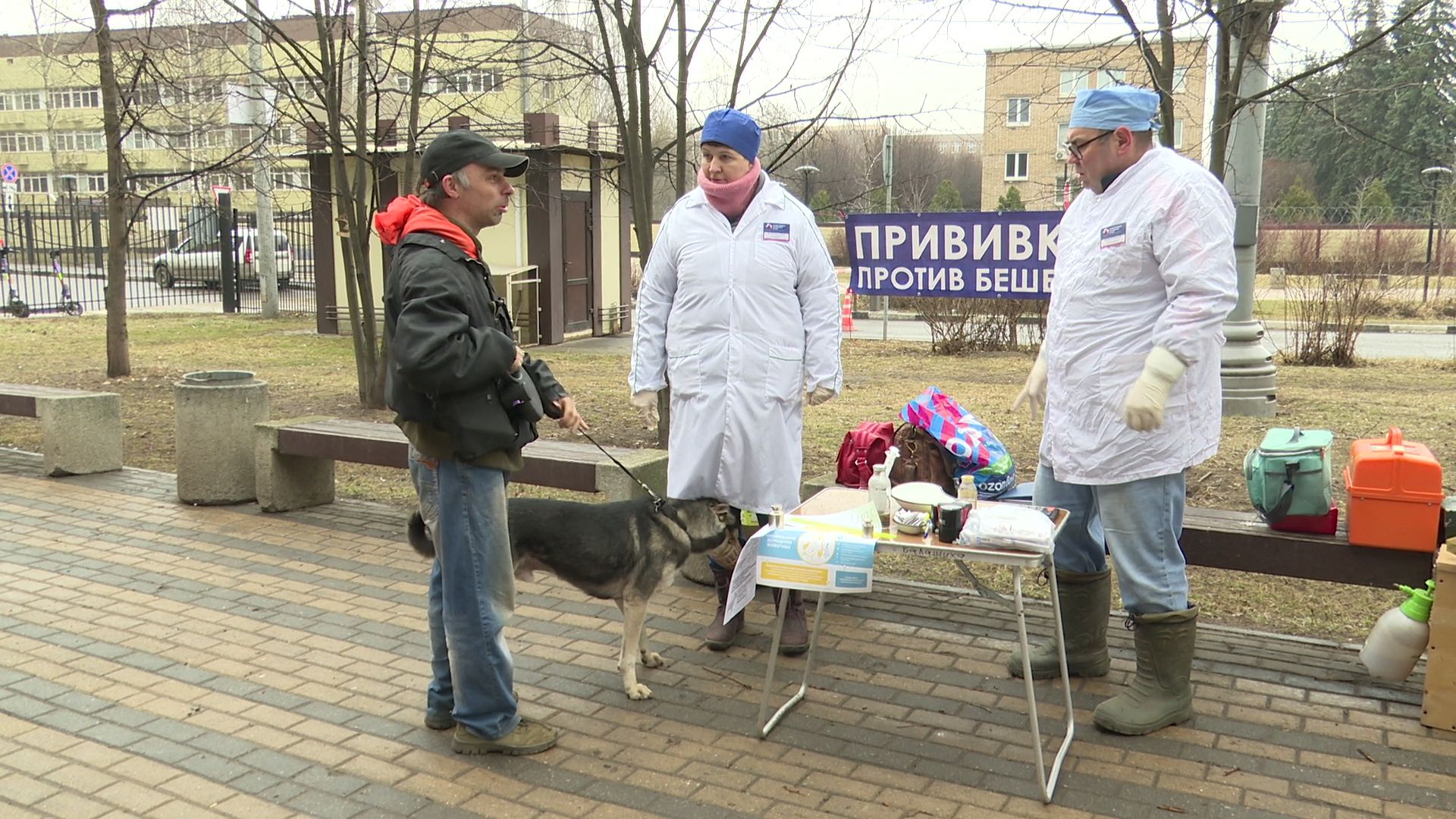 Реутов, вакцинация, медицина, бешенство, собаки и кошки,