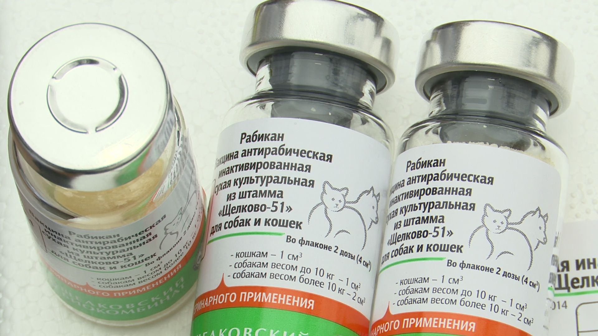 Реутов, вакцинация, медицина, бешенство, собаки и кошки,