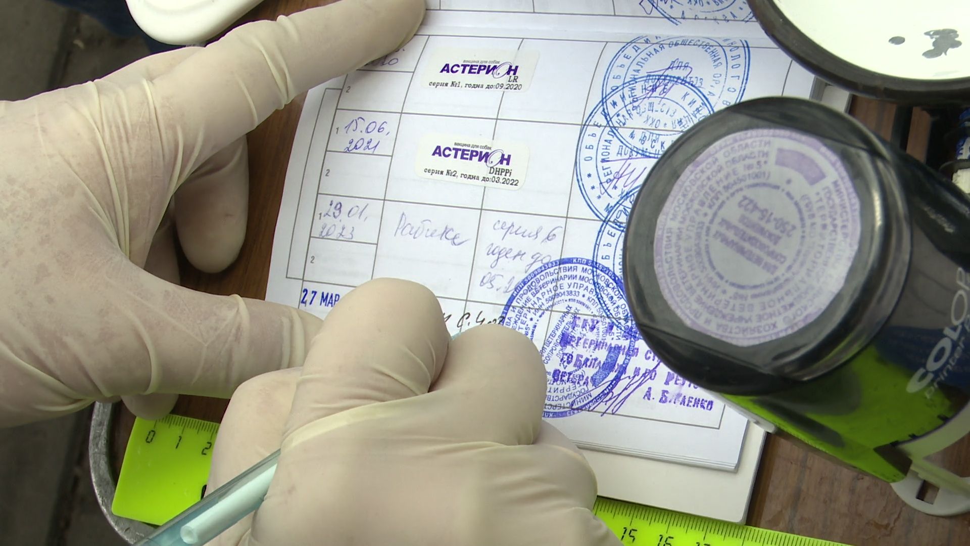 Реутов, вакцинация, медицина, бешенство, собаки и кошки,