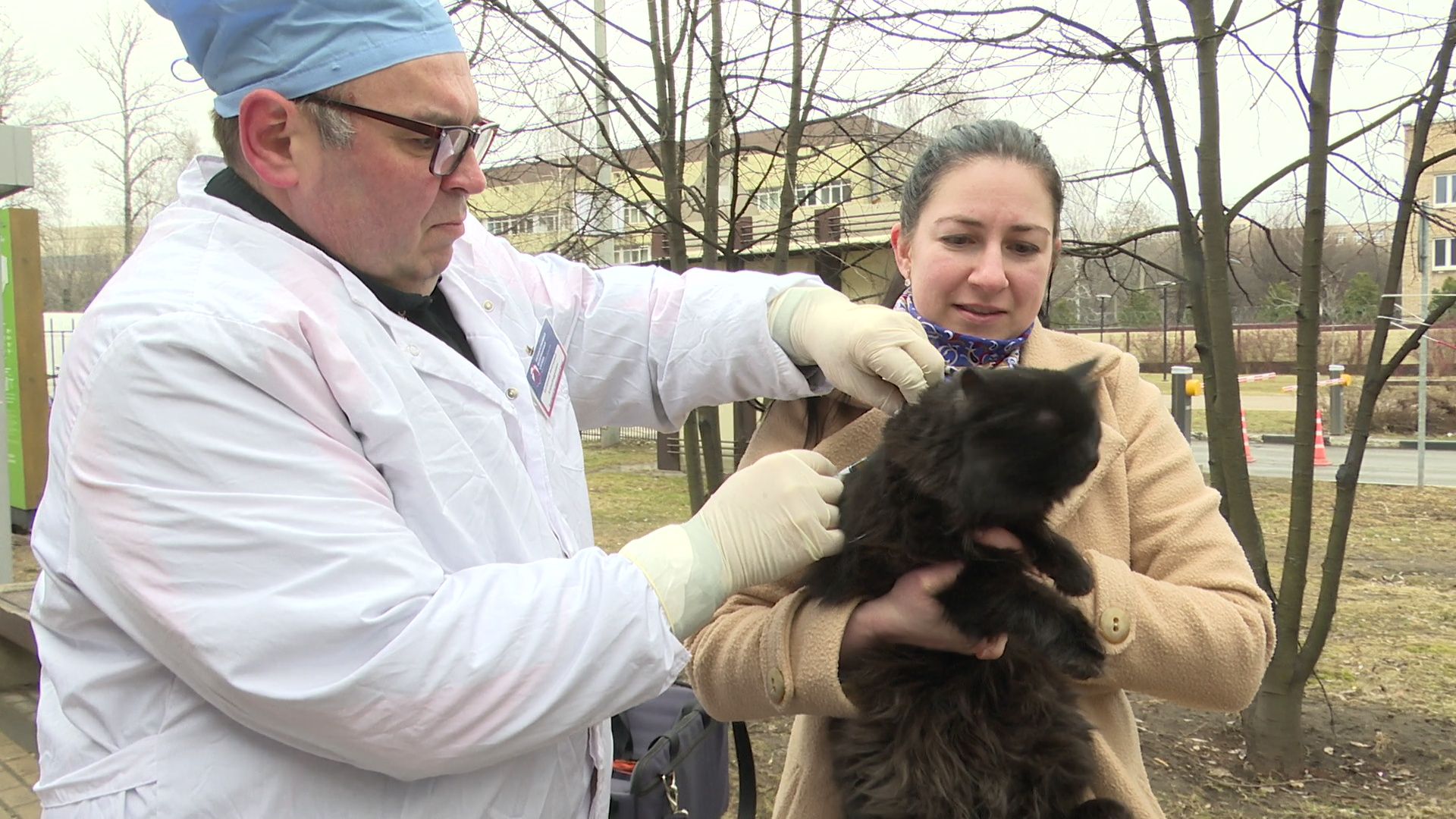 Реутов, вакцинация, медицина, бешенство, собаки и кошки,