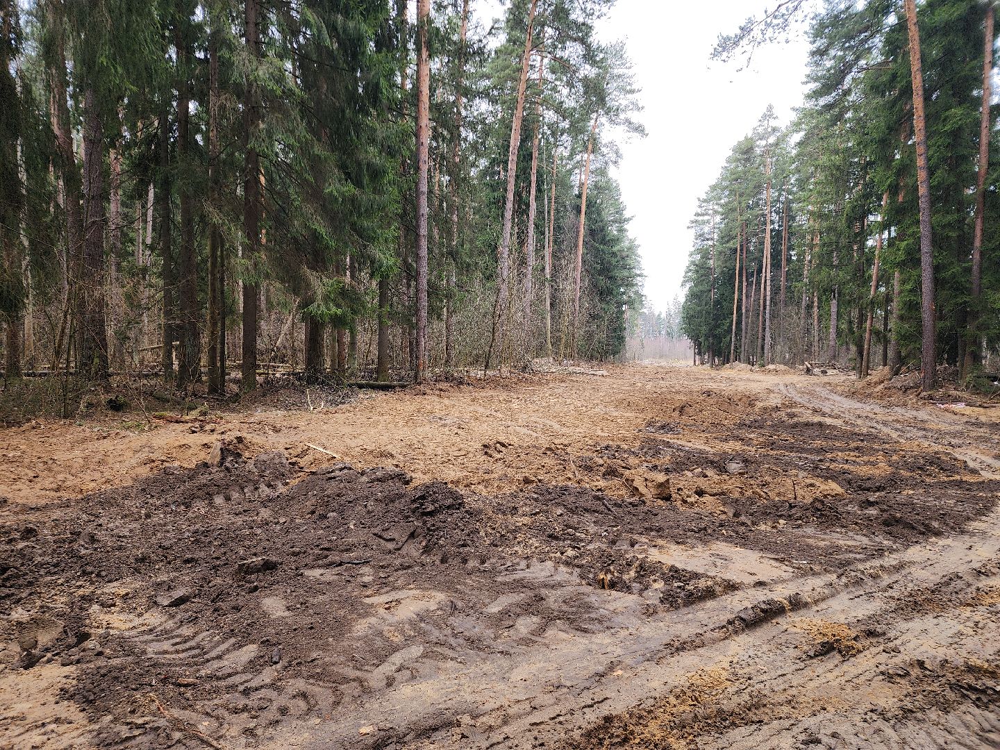 Черноголовка, Теплосети, Благоустройство,