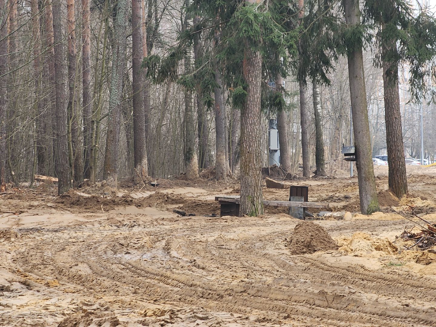 Черноголовка, Теплосети, Благоустройство,