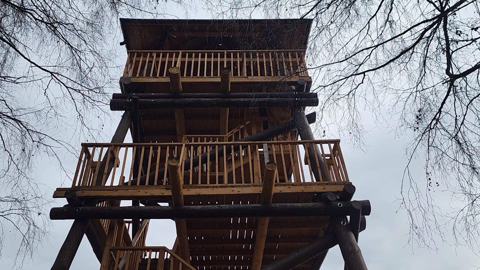 мытищи,лосиный остров, природа,