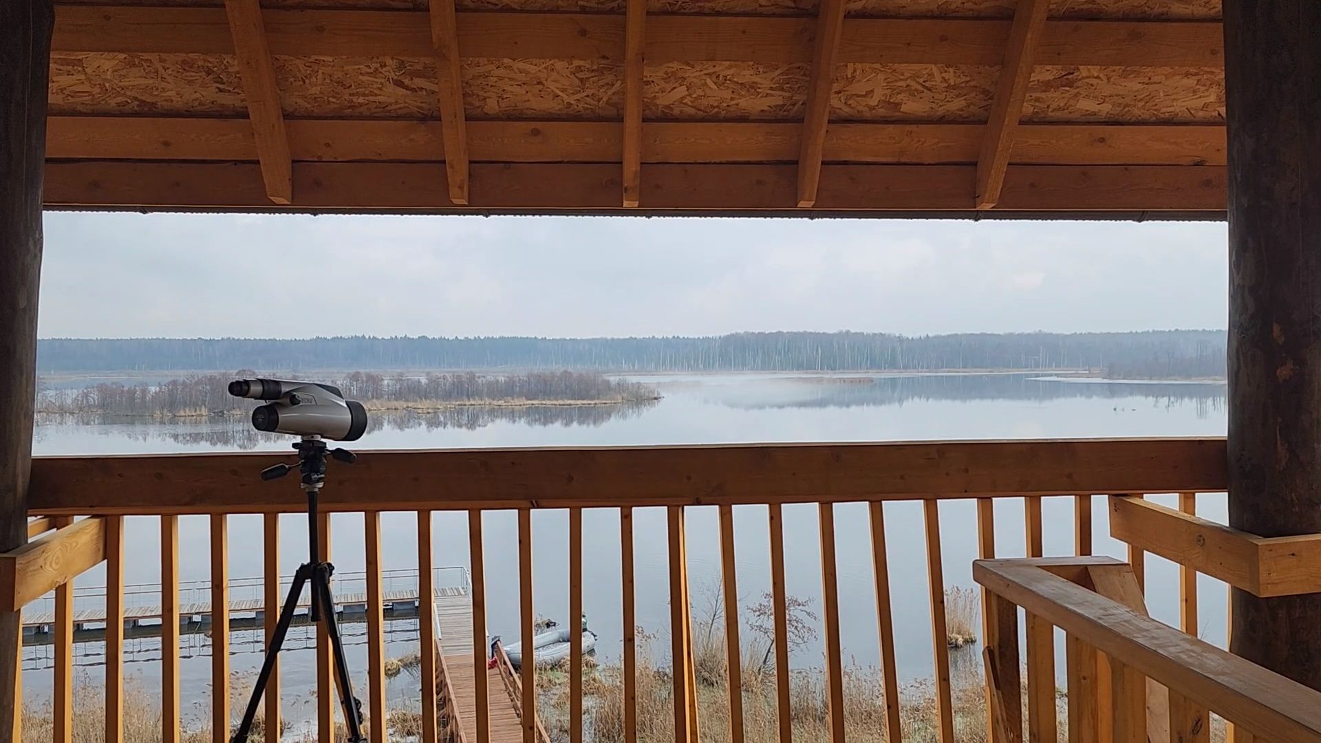 мытищи,лосиный остров, природа,