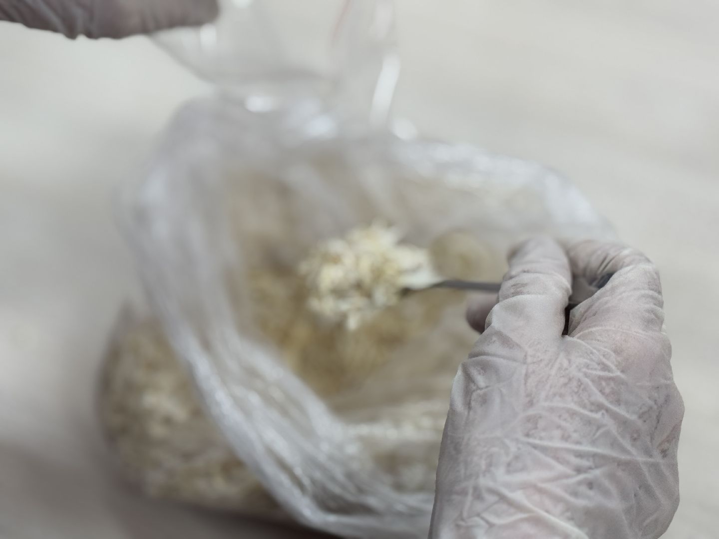 сво, волонтеры подмосковья, общественная палата Балашихи, Своих не бросаем,