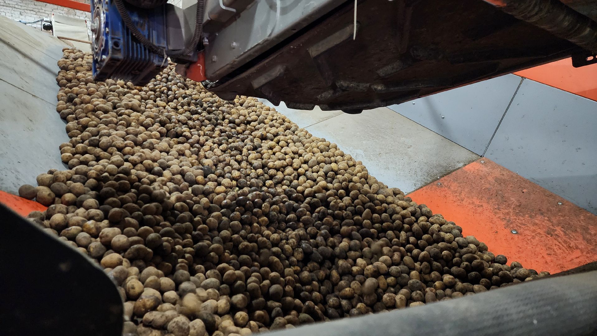 луховицы, спк имени ленина, дединово, образование, стажировка,