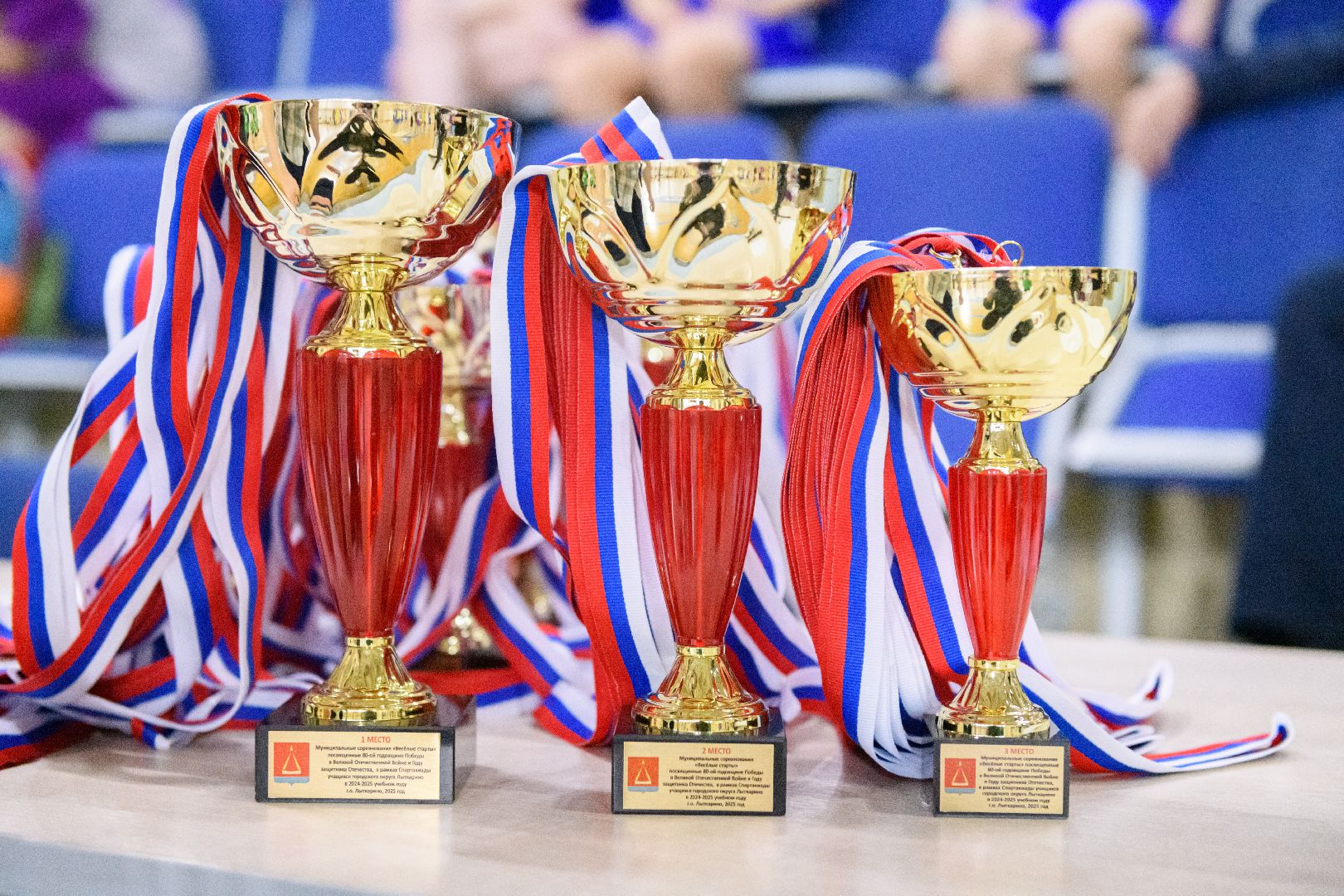 лыткарино, спорт, веселые старты, 80-летие победы, вертикалки,