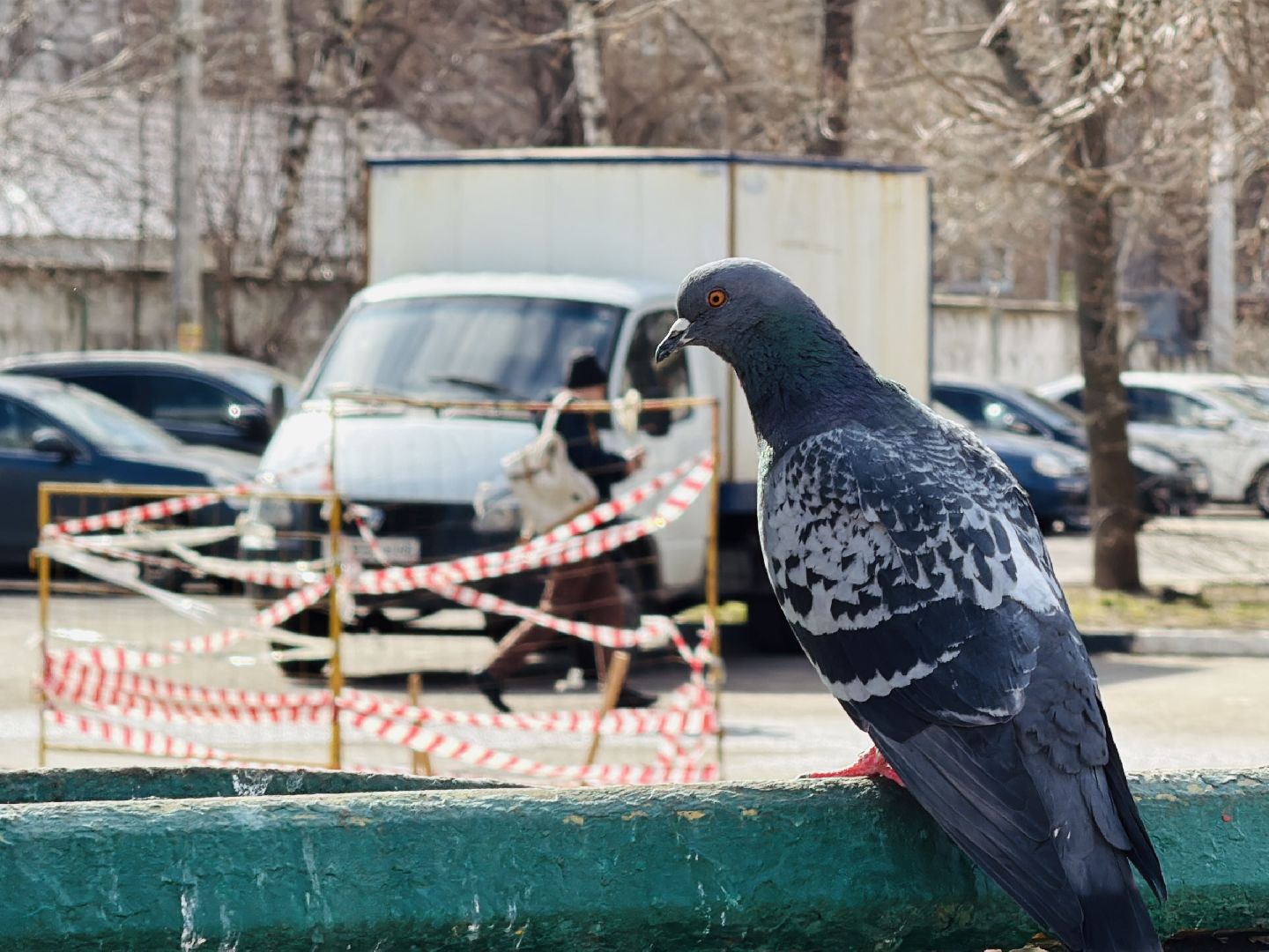 раменское, провал почвы, благоустройство,