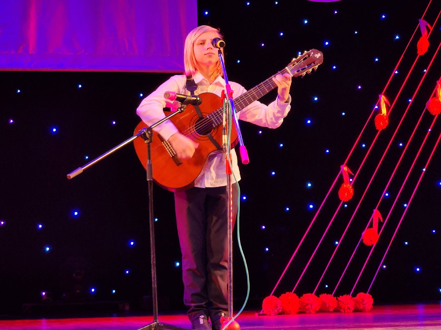 Сергиев Посад, Одц октябрь, журавлиная родина,фестиваль,