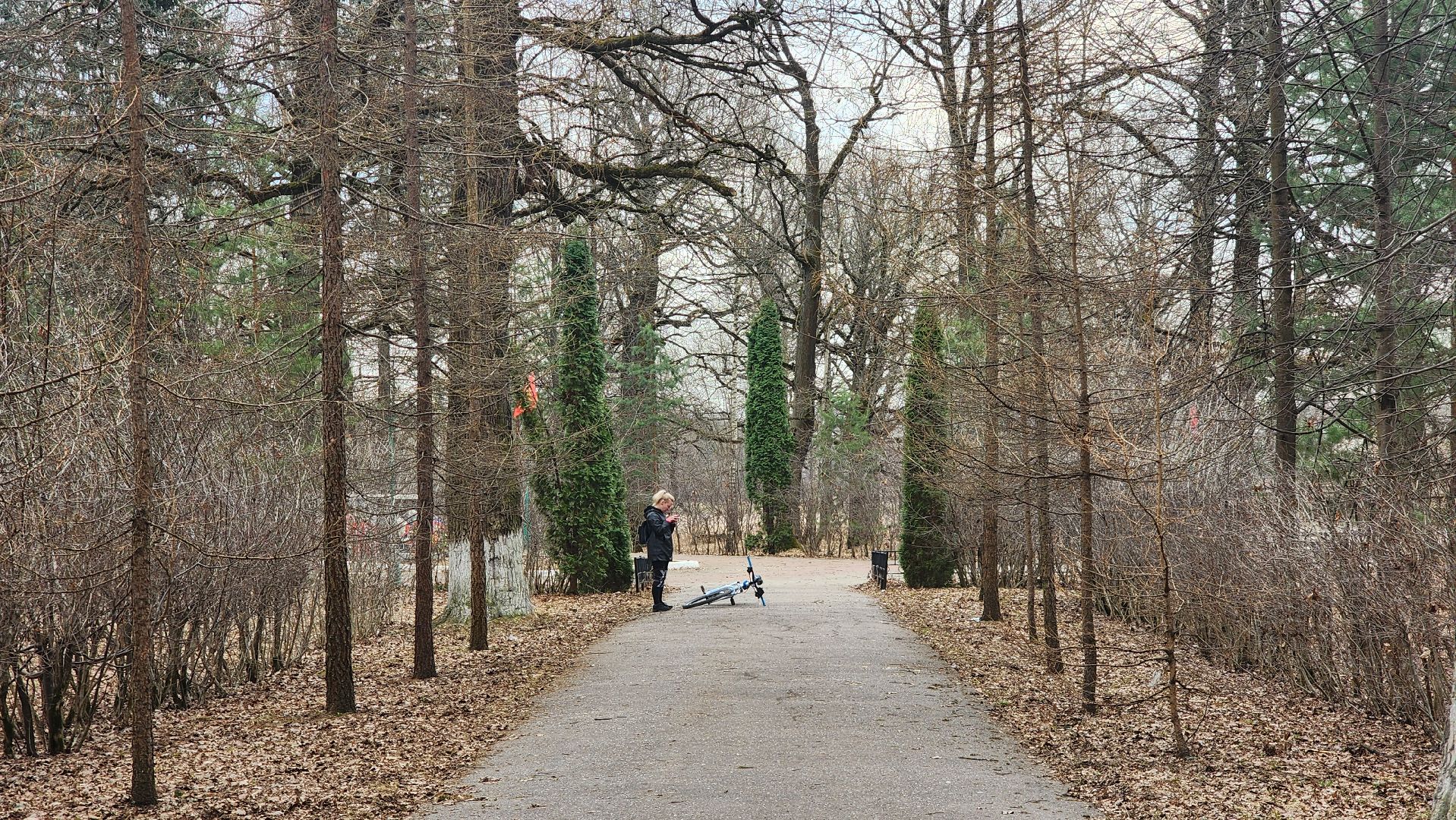 Шуховская башня, братская могила, Лобня, Луговая,