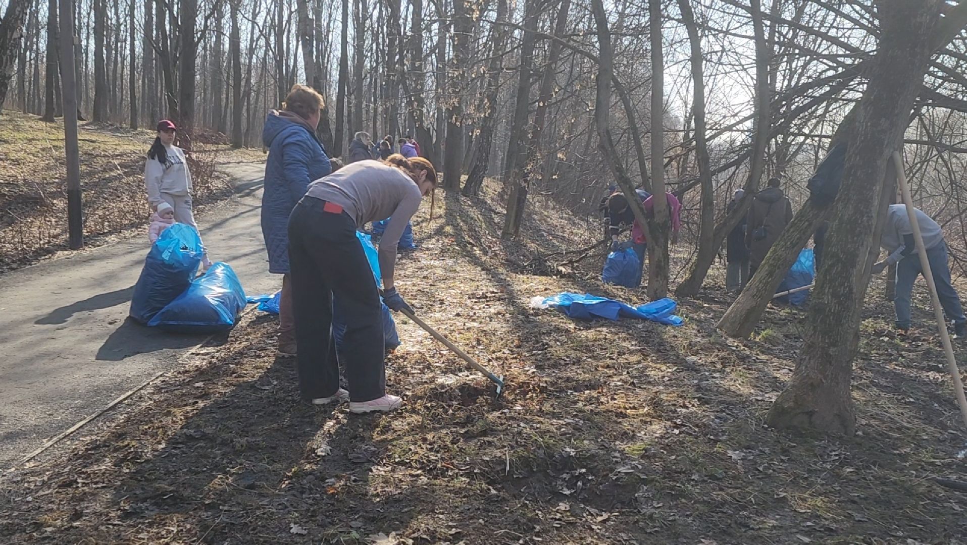 Уборка, Листва, Жители, Субботник,