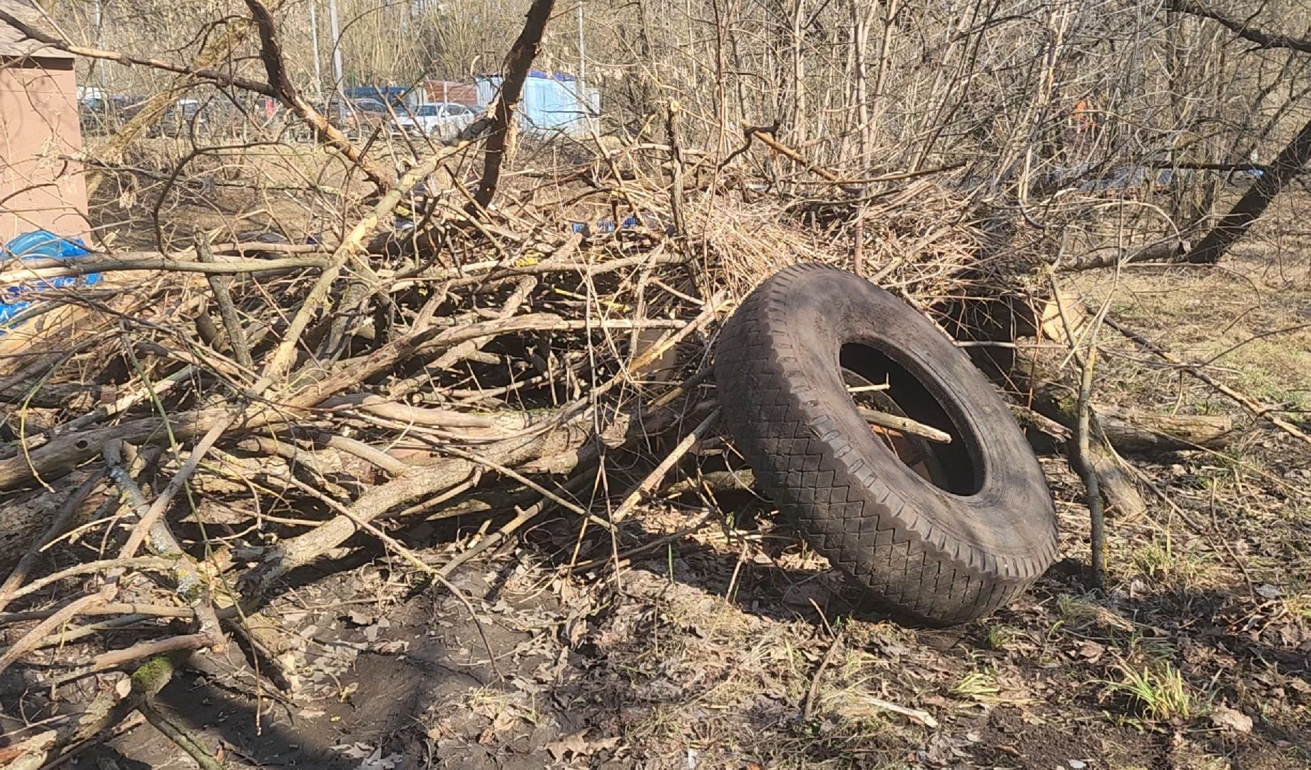 Уборка, Листва, Жители, Субботник,