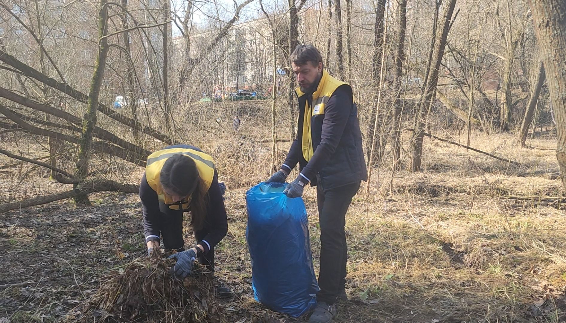 Уборка, Листва, Жители, Субботник,