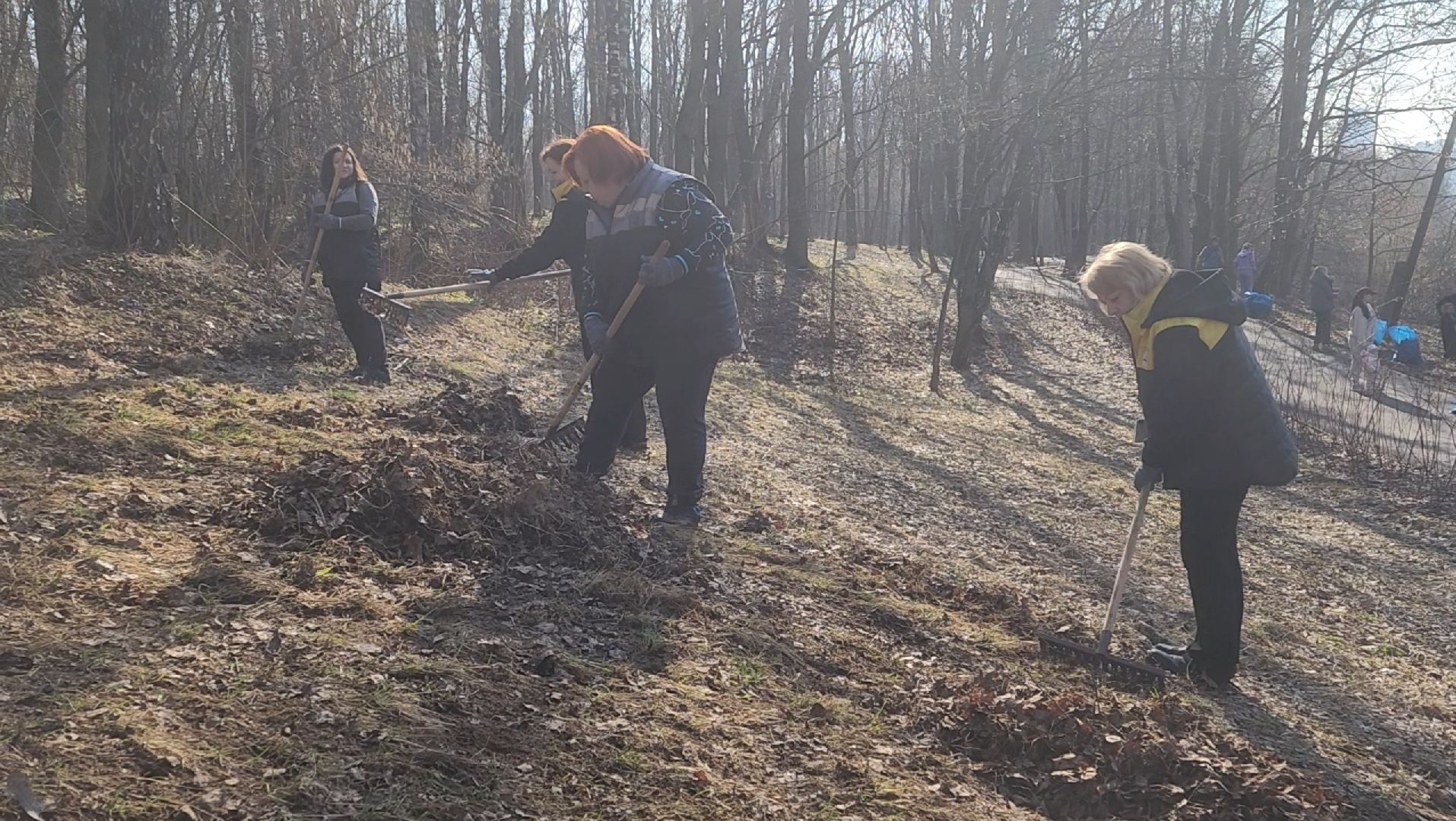 Уборка, Листва, Жители, Субботник,