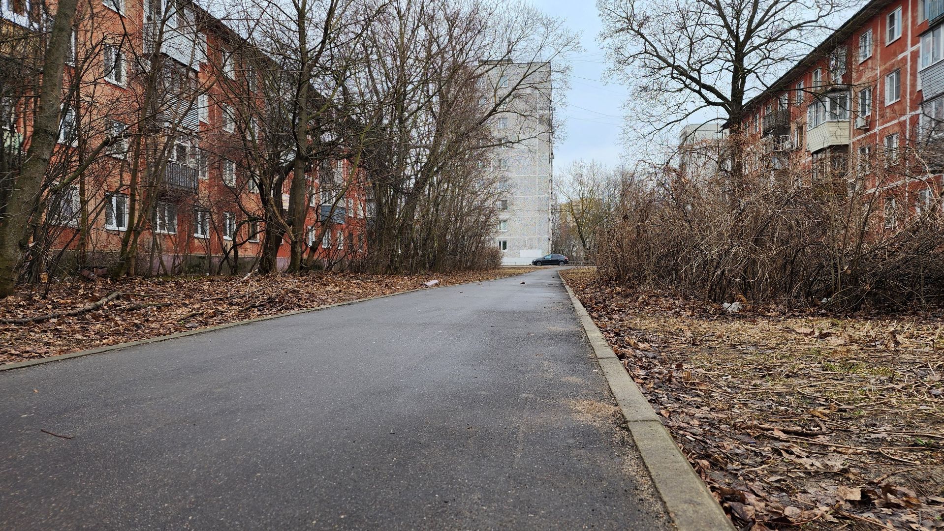 благоустройство, народные тропы, Лосино-Петровский,