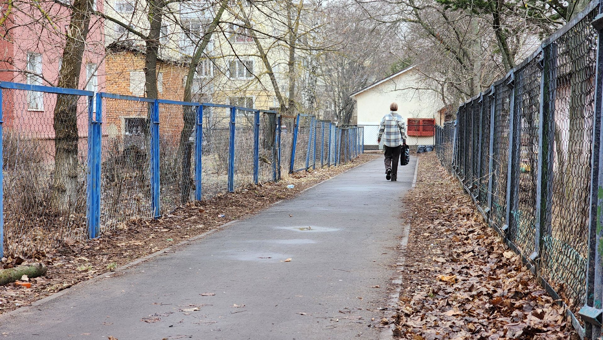 благоустройство, народные тропы, Лосино-Петровский,