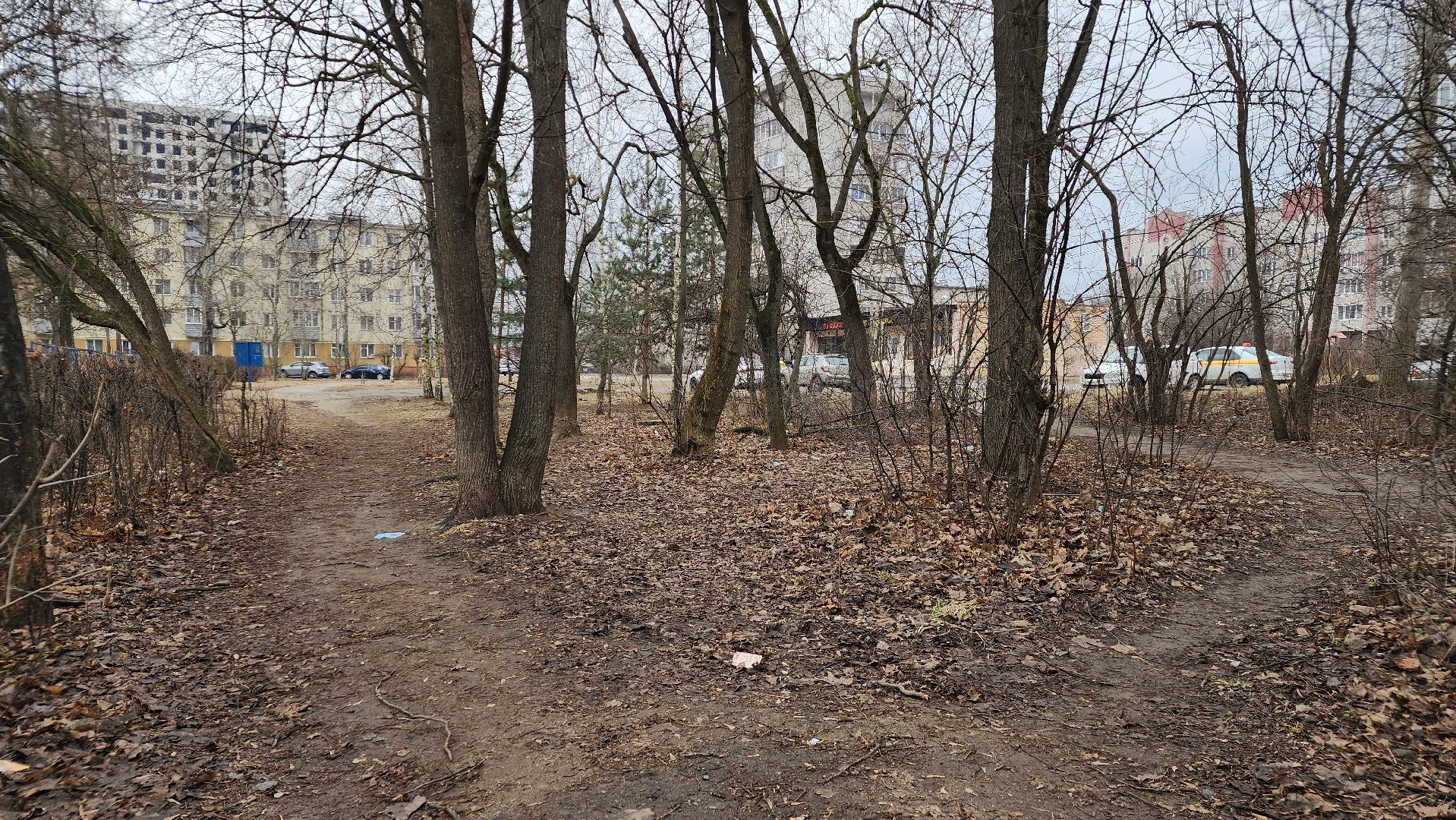 благоустройство, народные тропы, Лосино-Петровский,