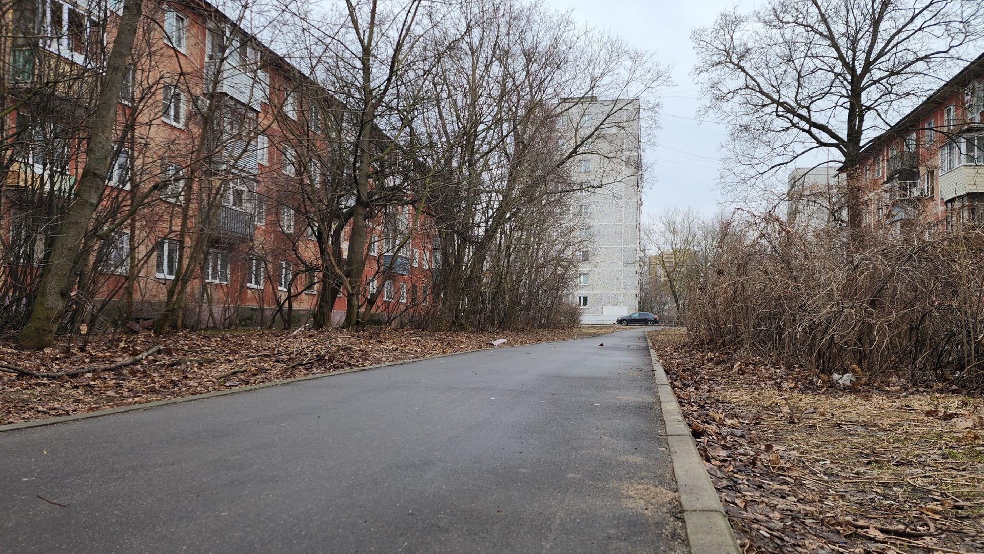 благоустройство, народные тропы, Лосино-Петровский,