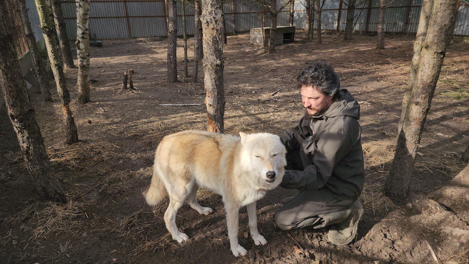 благотворительность, приют для животных,