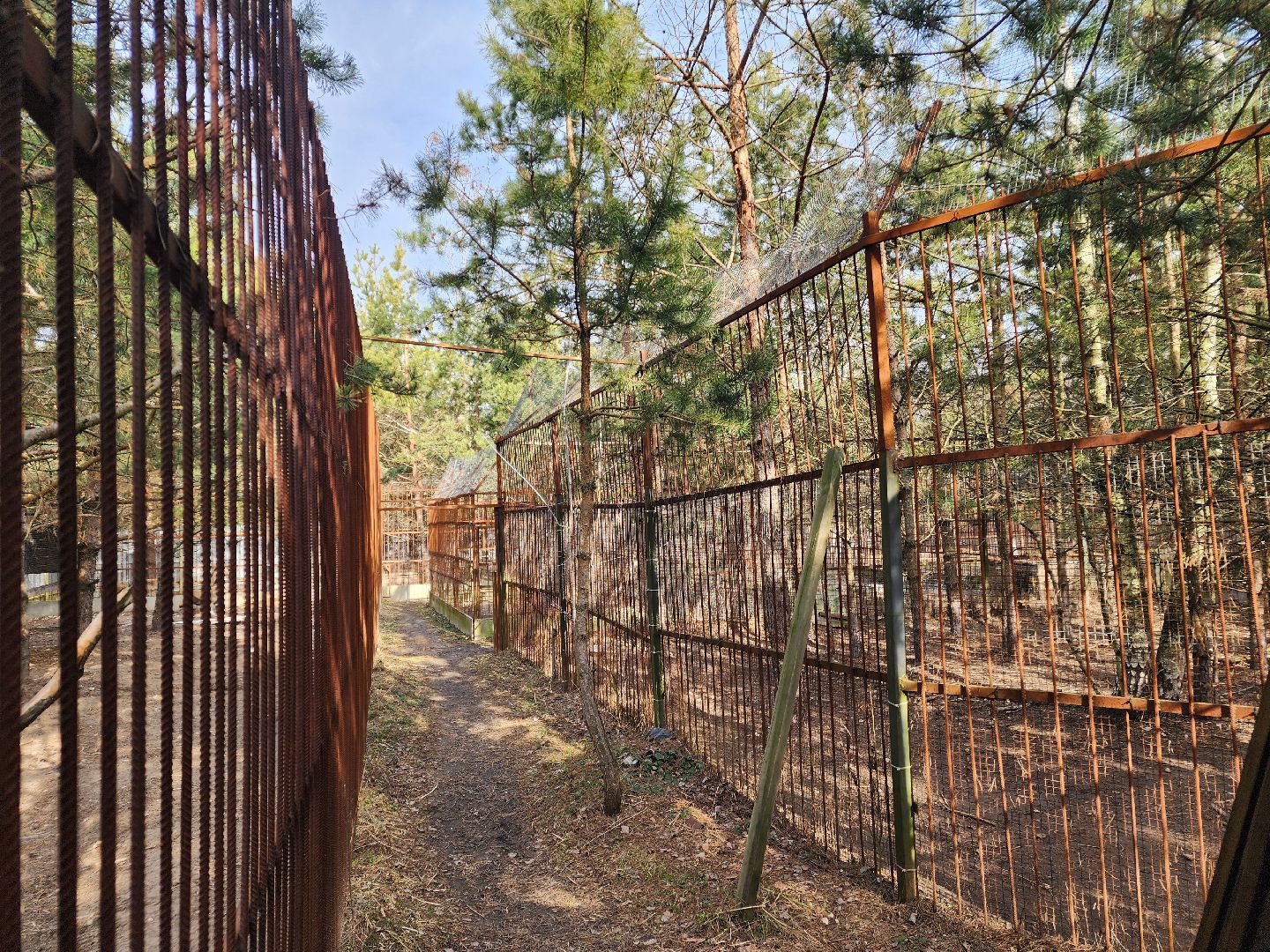 благотворительность, приют для животных,