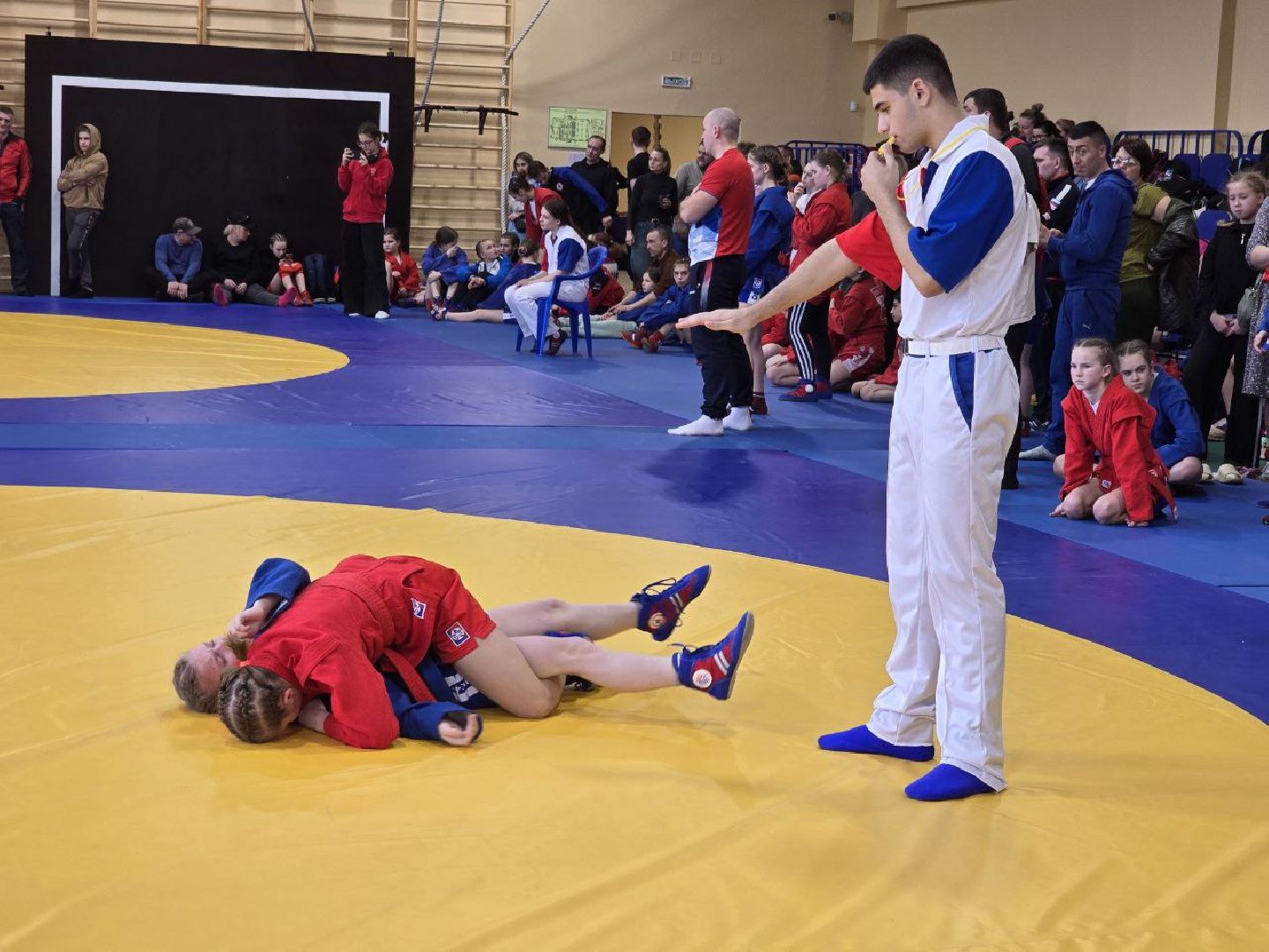 можайск, можайский муниципальный округ, подмосковье, спорт, соревнования, первенство московской области по самбо,