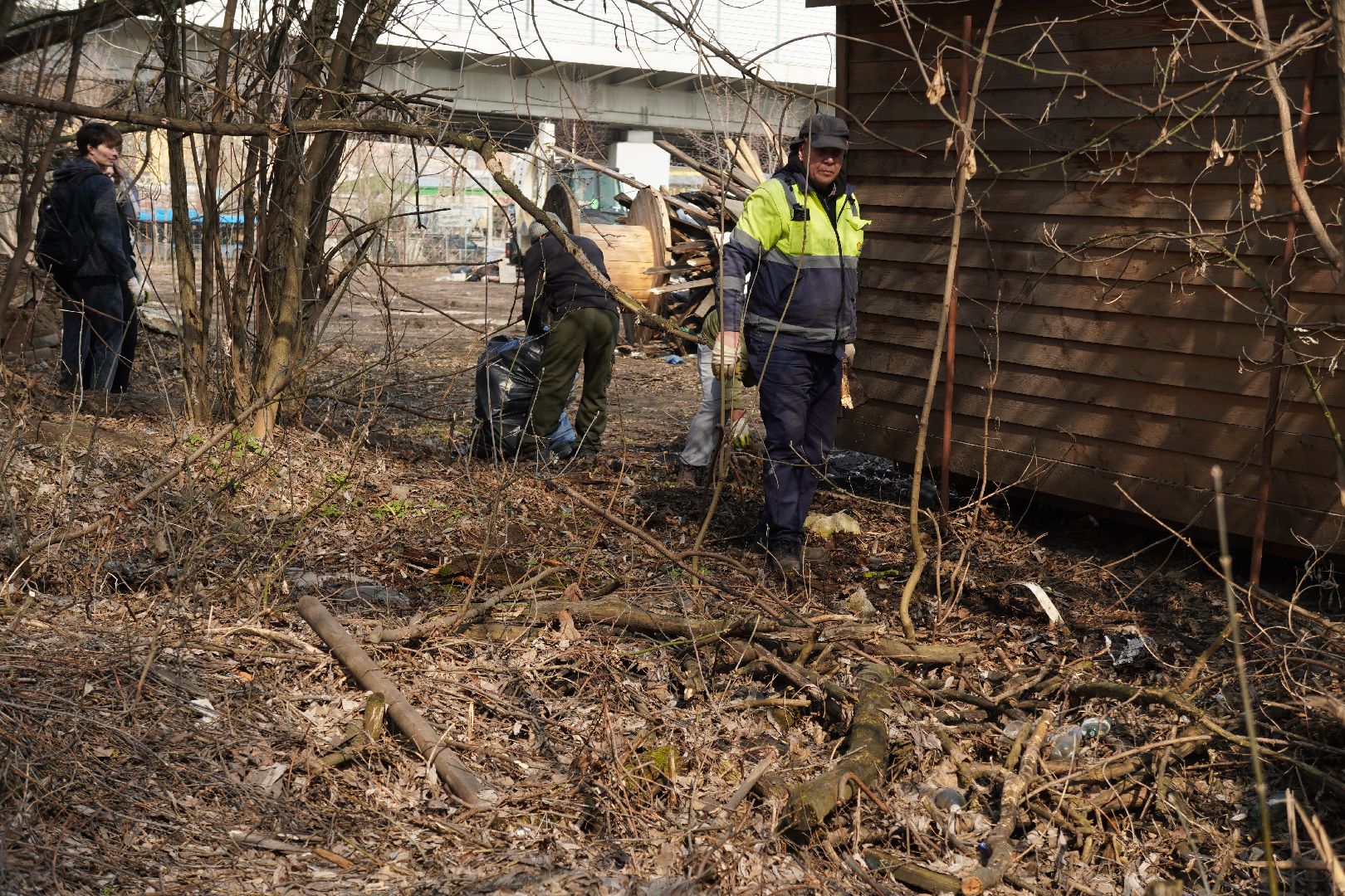 котельники, благоустройство, уборка территории, субботник,